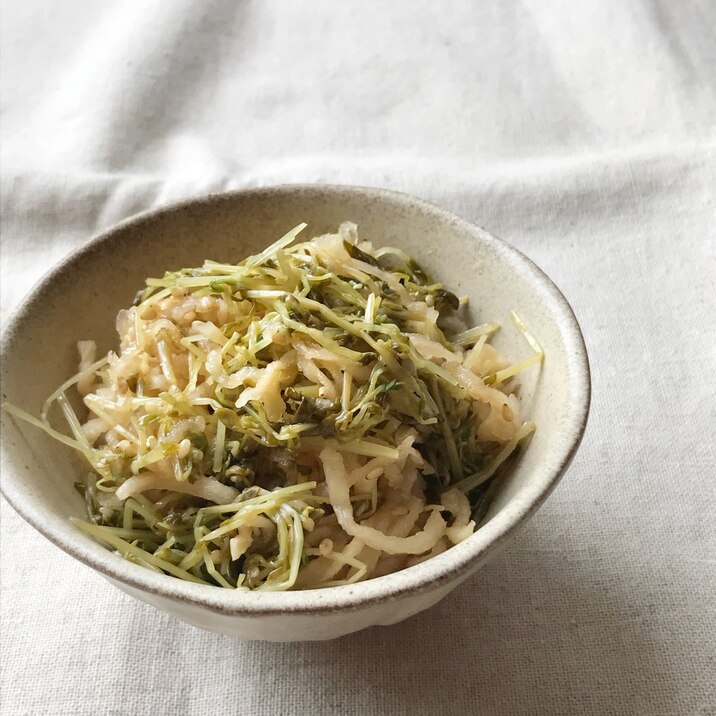 切り干し大根と豆苗の中華和え